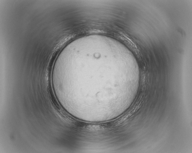 X0000115330298200911301533