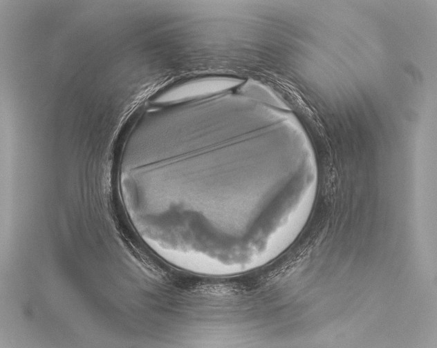 X0000115330299200911301533