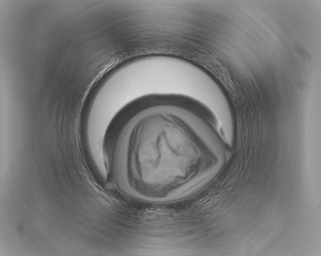 X0000115330300200911301533