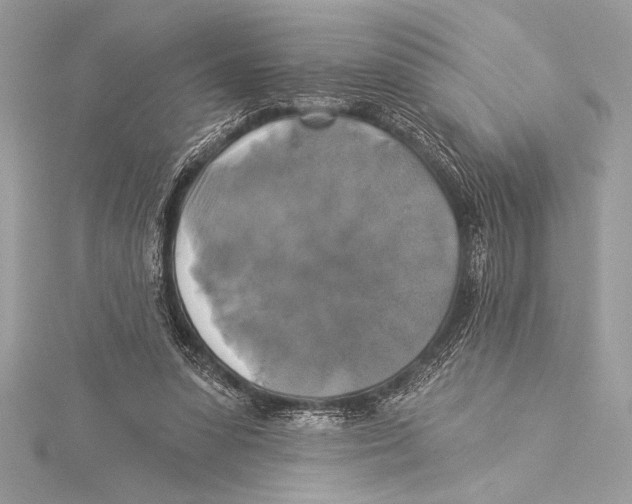 X0000115330303200911301533