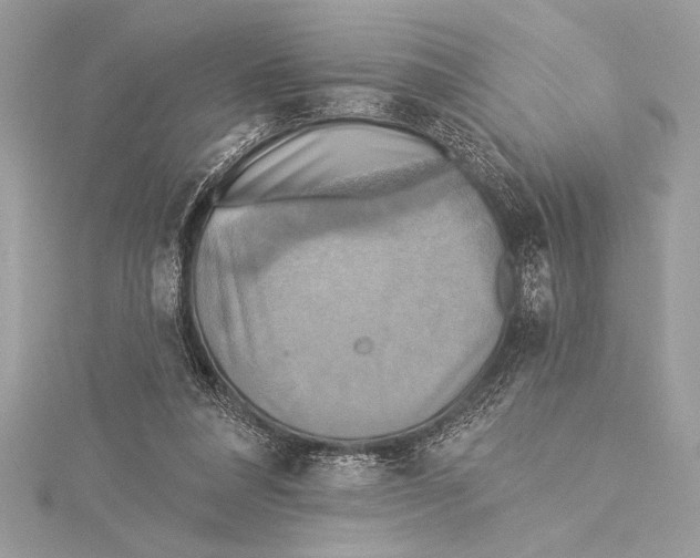 X0000115330304200911301533