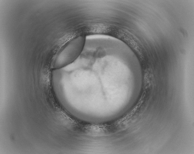 X0000115330305200911301533