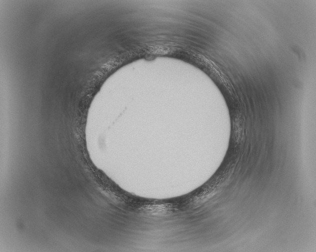 X0000115330307200911301533