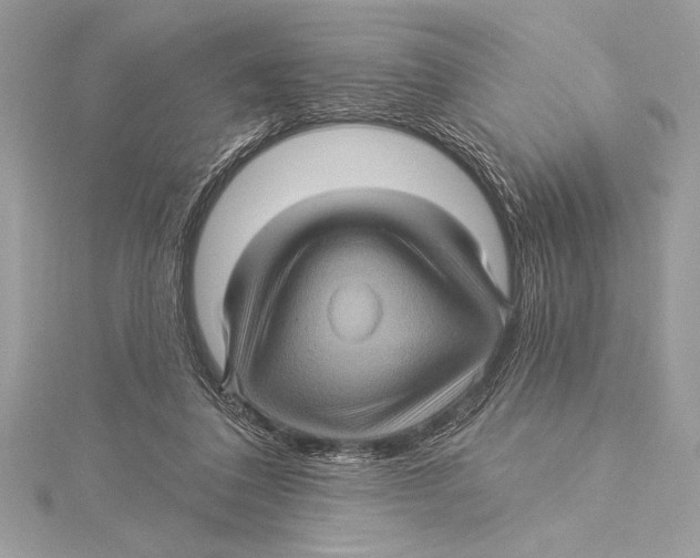 X0000115330308200911301533