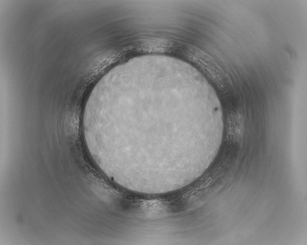 X0000115330309200911301533