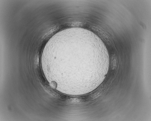 X0000115330310200911301532