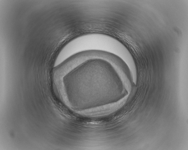 X0000115330312200911301532