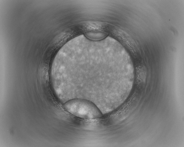 X0000115330313200911301532