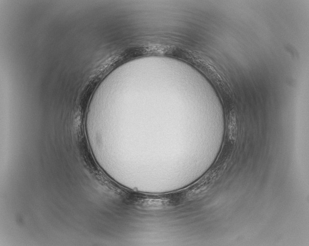 X0000115330314200911301532