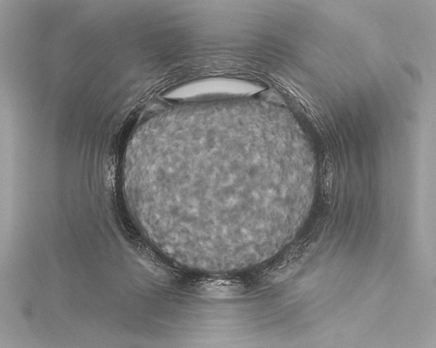 X0000115330315200911301532