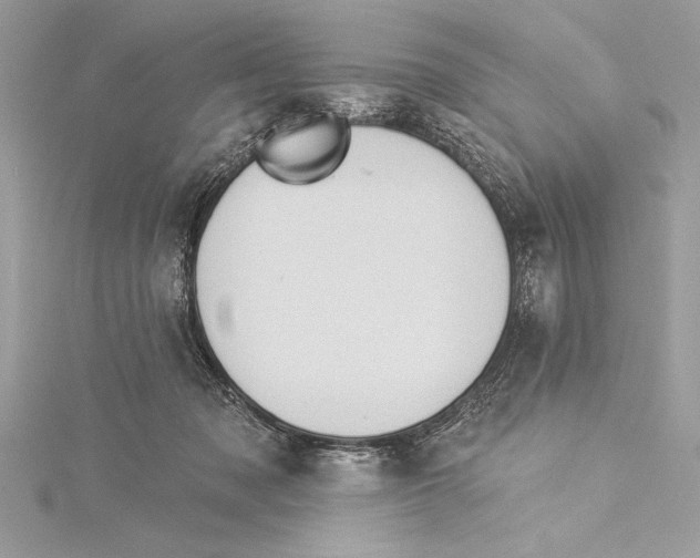 X0000115330317200911301532