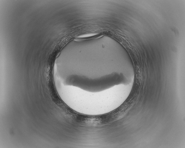 X0000115330319200911301532