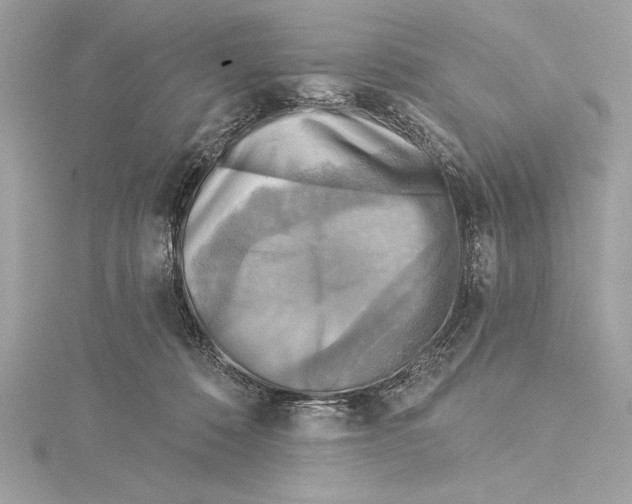 X0000115330320200911301532