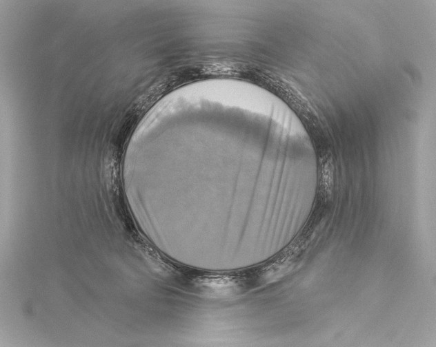 X0000115330322200911301532