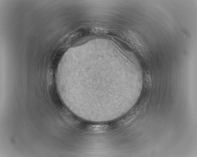 X0000115330323200911301532