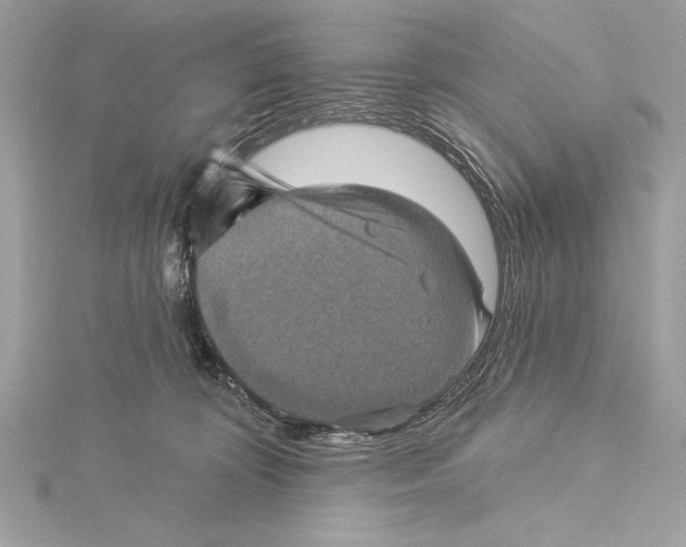 X0000115330324200911301532