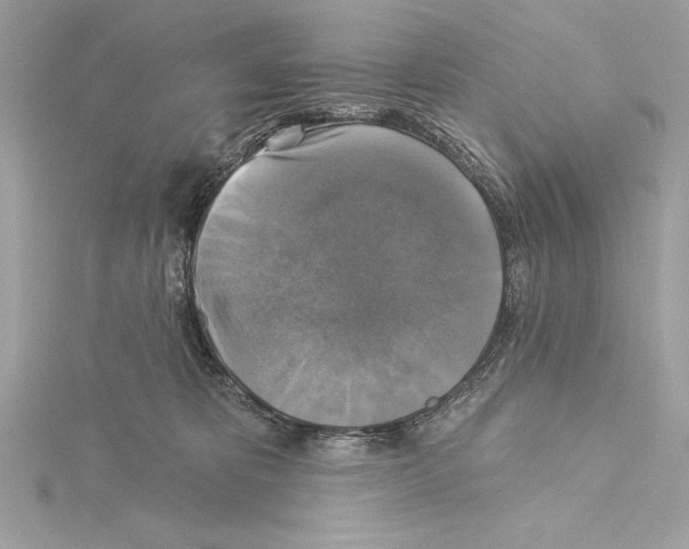 X0000115330325200911301532