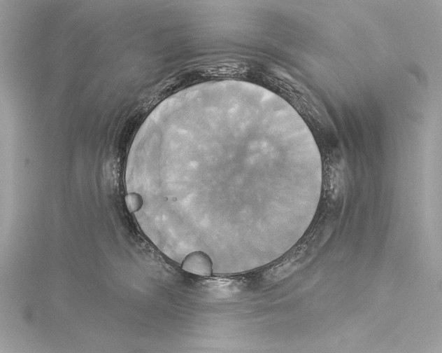 X0000115330326200911301532