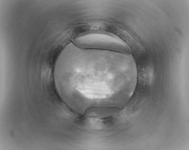 X0000115330327200911301532