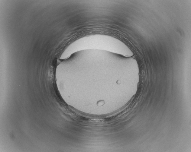 X0000115330328200911301532