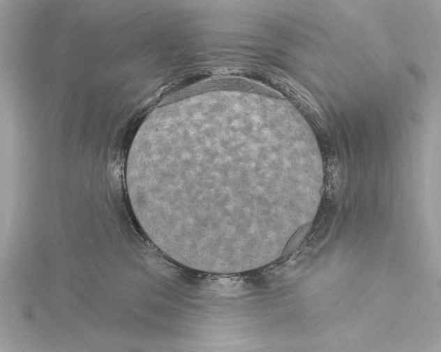 X0000115330329200911301532