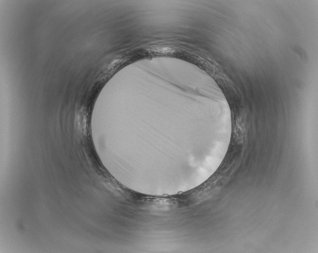 X0000115330330200911301532