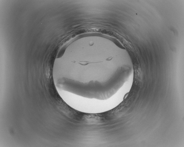 X0000115330331200911301532