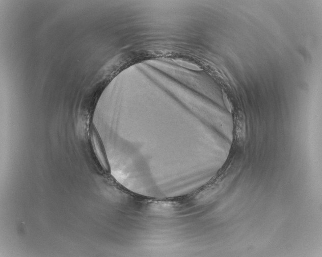 X0000115330332200911301532