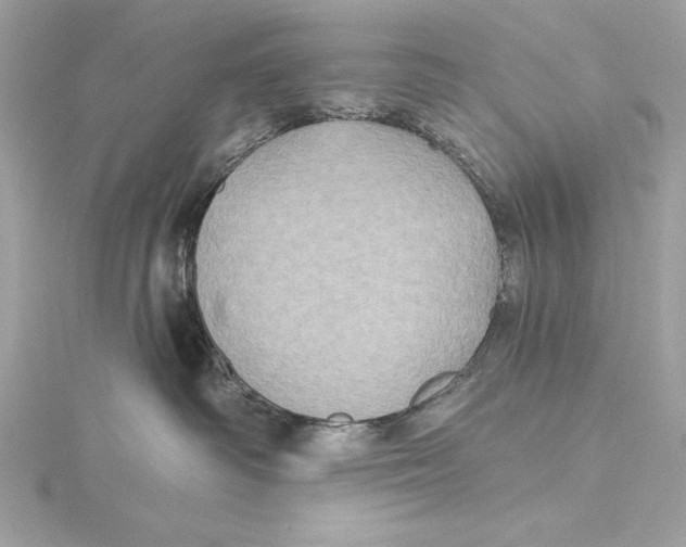 X0000115330334200911301532