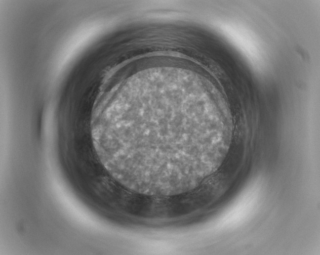 X0000115330335200911301532