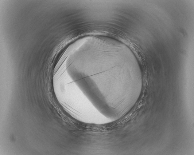 X0000115330337200911301532