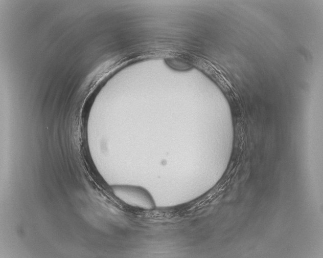 X0000115330338200911301532