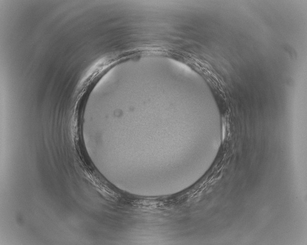 X0000115330339200911301532