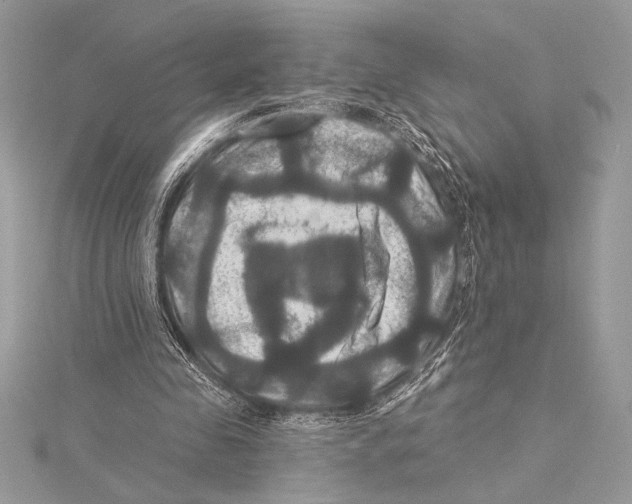 X0000115330341200911301532