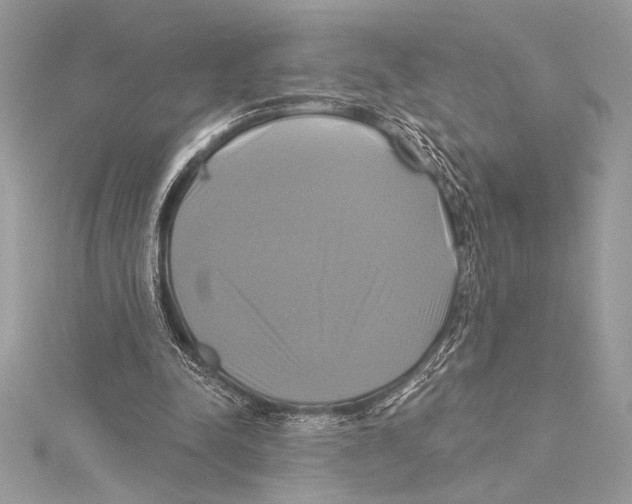 X0000115330342200911301532