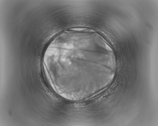 X0000115330345200911301532