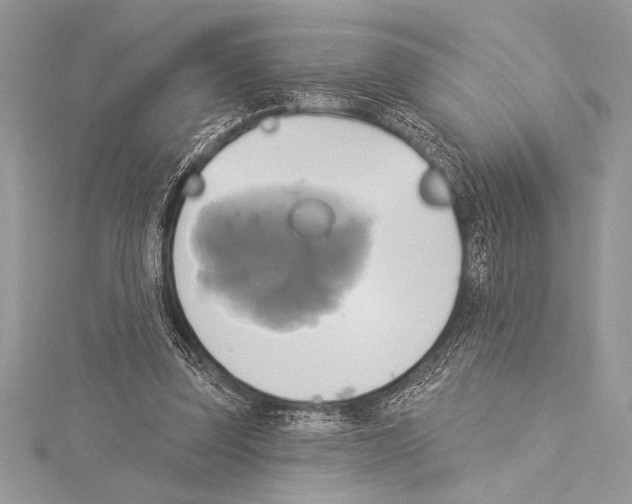 X0000115330347200911301532