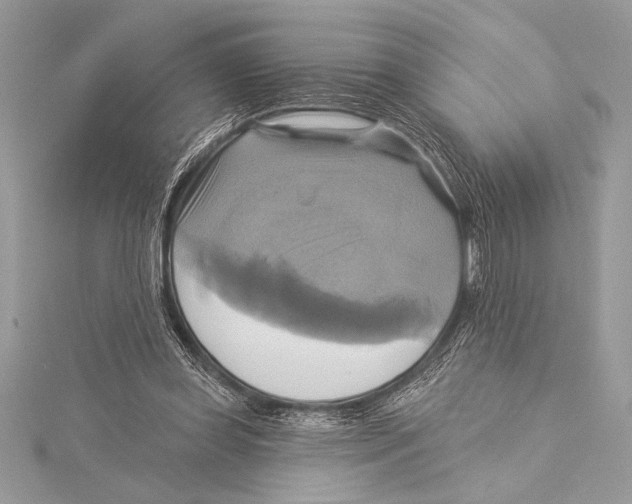 X0000115330349200911301532