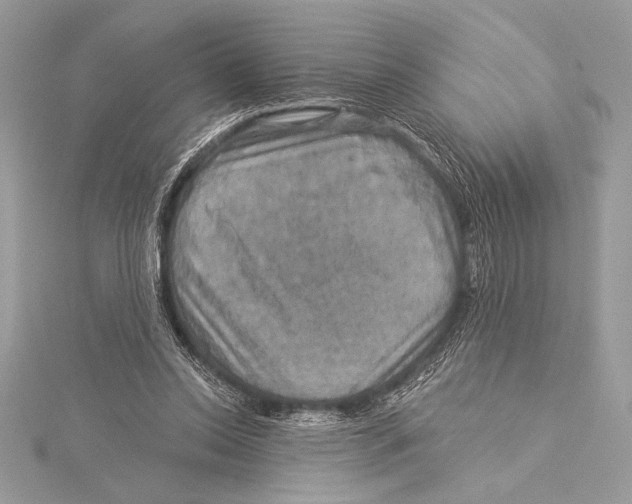 X0000115330350200911301532