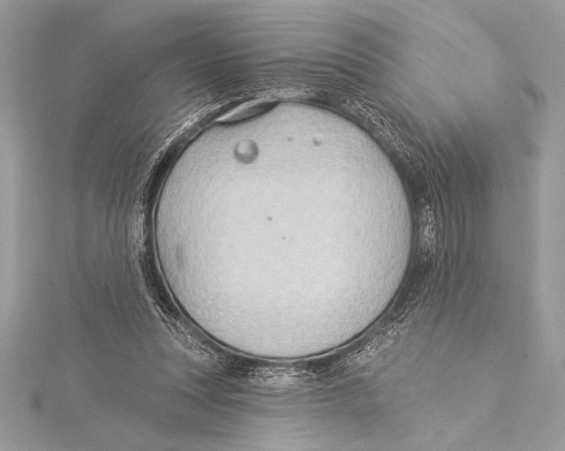 X0000115330351200911301532