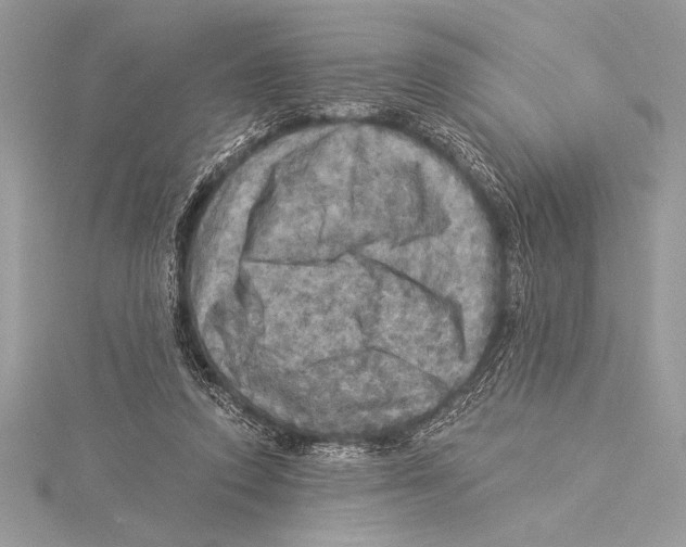 X0000115330354200911301532