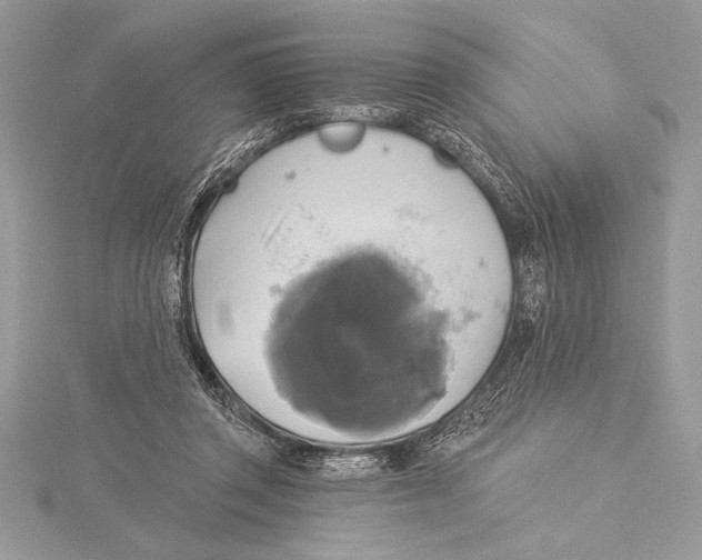 X0000115330357200911301532