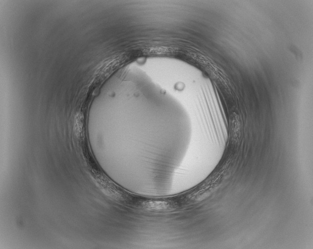 X0000115330361200911301532