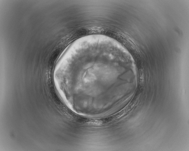 X0000115330369200911301532