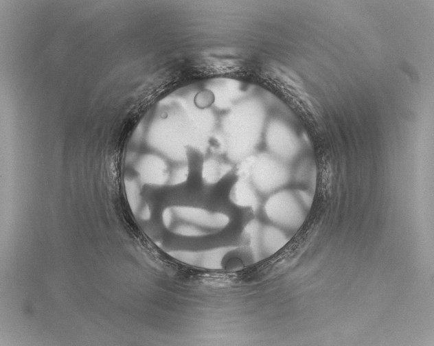 X0000115330373200911301532