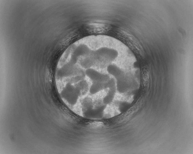 X0000115330374200911301532