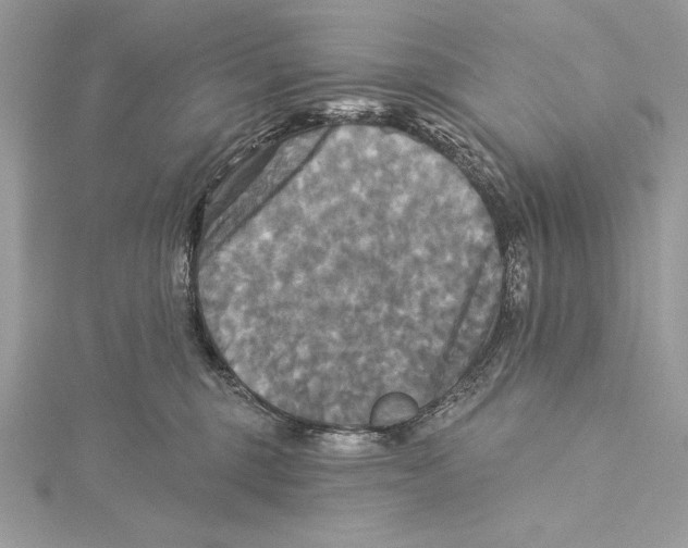 X0000115330375200911301532