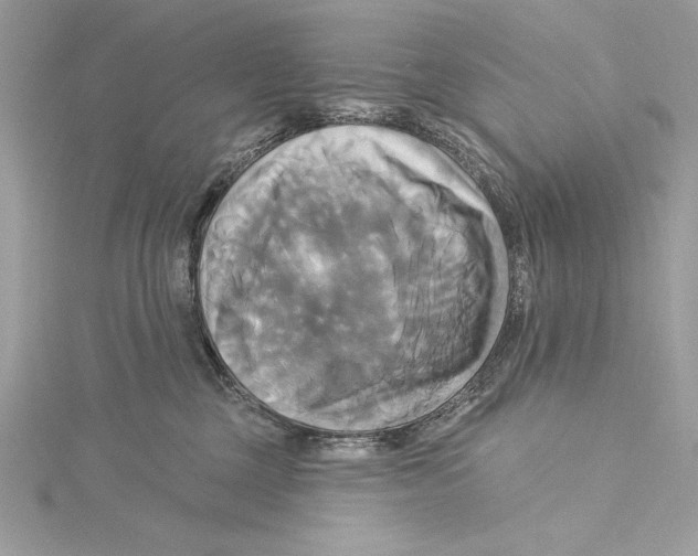 X0000115330377200911301532