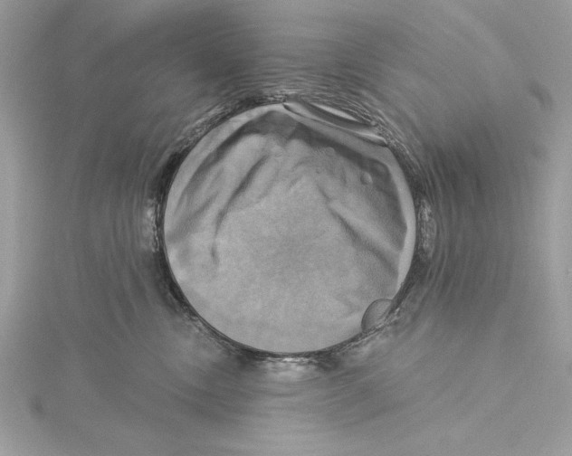 X0000115330378200911301532