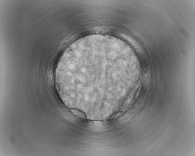 X0000115330381200911301532